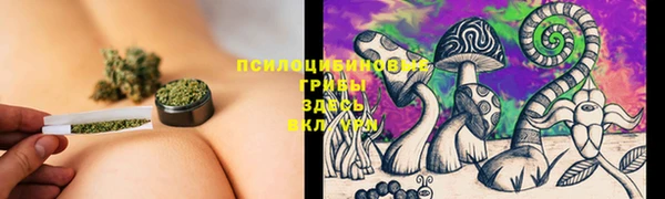 синтетический гашиш Ладушкин