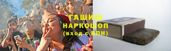 дмт Лабытнанги