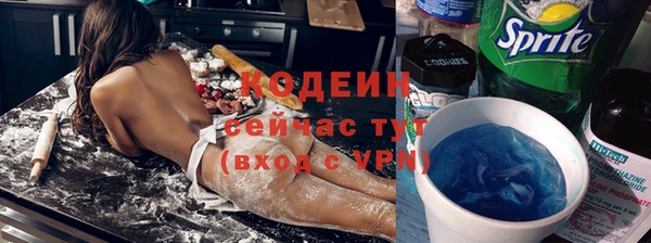 дмт Лабытнанги