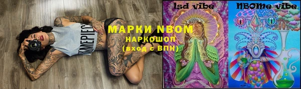 дмт Лабытнанги