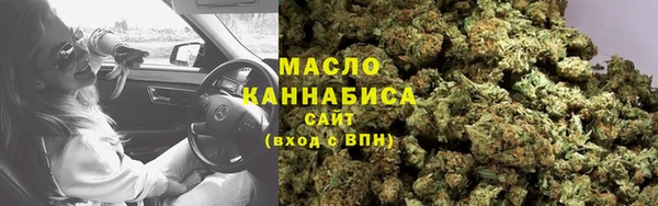 дмт Лабытнанги